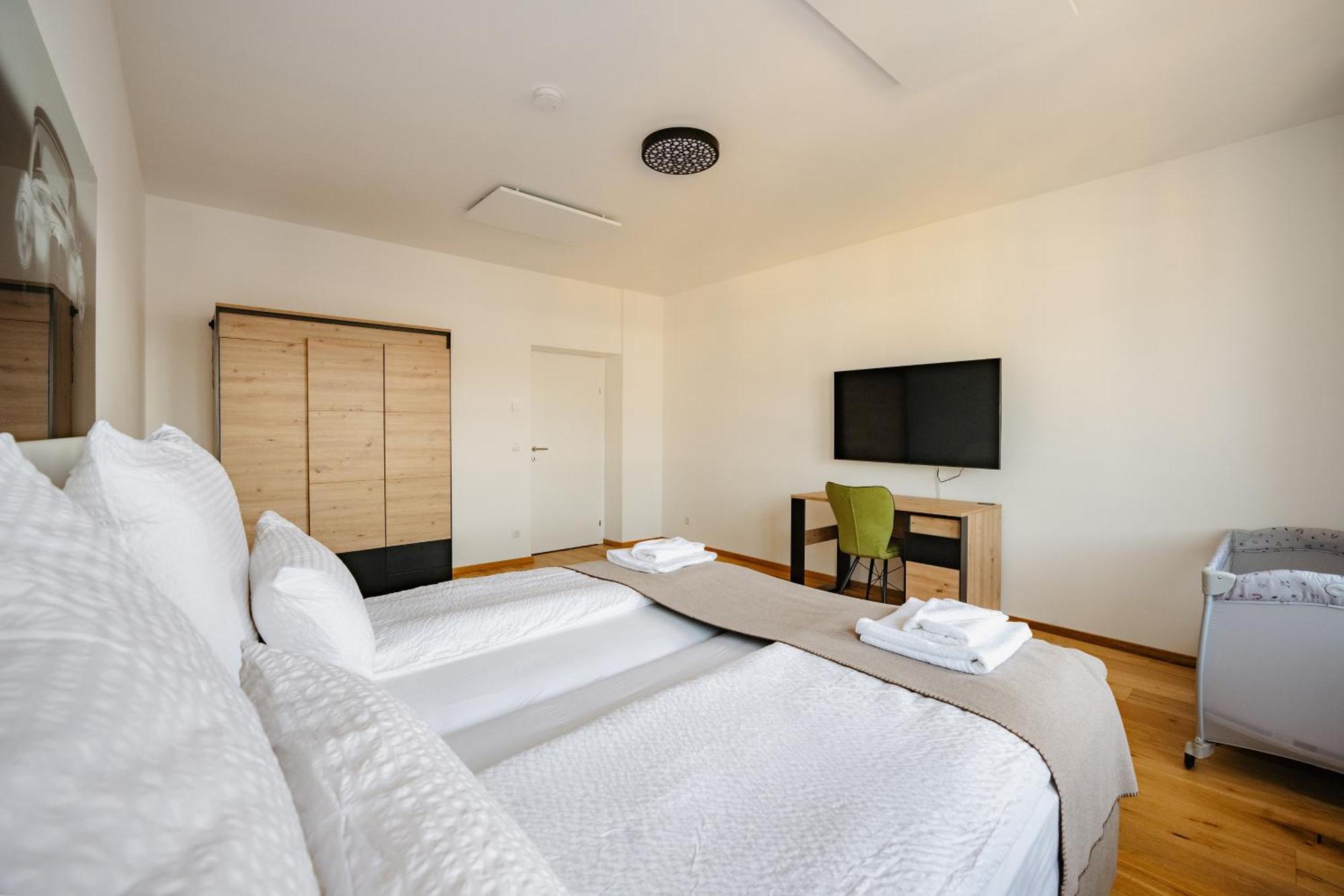 Tamliving Center Luxury 4 Rooms Smart Tv Kitchen Great View Graz Eksteriør billede