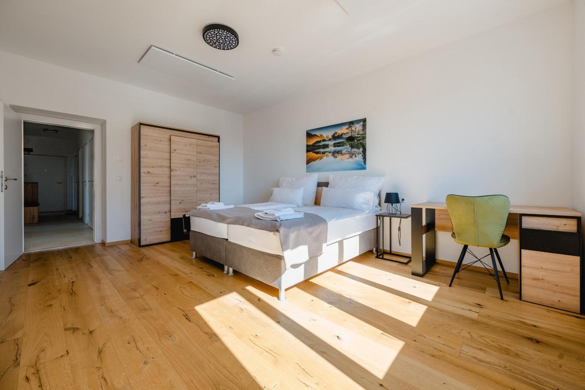 Tamliving Center Luxury 4 Rooms Smart Tv Kitchen Great View Graz Eksteriør billede